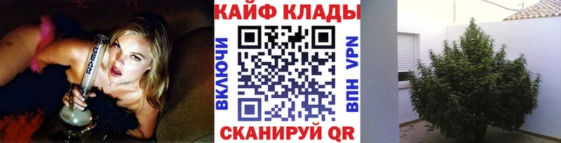 Купить наркотик аптеки Дзержинск Каннабис  ЭКСТАЗИ  MDMA  СОЛЬ  Амфетамин  МЕФ  ГАШИШ  Cocaine 
