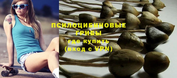 не бодяженный Аркадак
