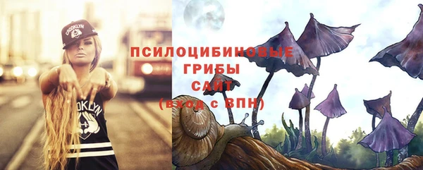 не бодяженный Аркадак