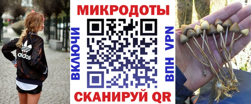 Псилоцибиновые грибы MAGIC MUSHROOMS  магазин продажи   MEGA зеркало  Дзержинск 